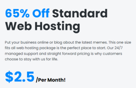 Web Hosting